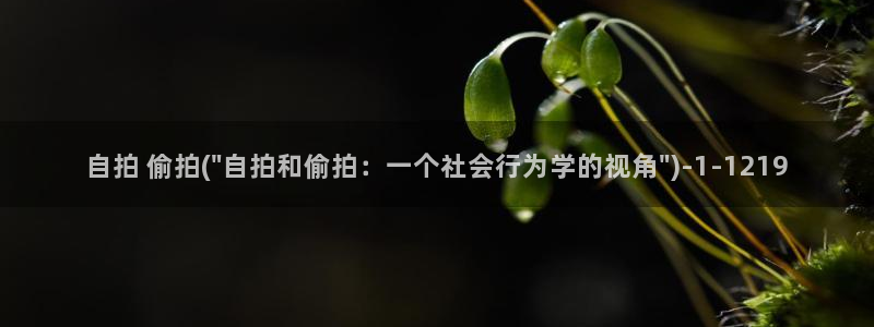 台湾佬中文偷拍亚洲综合