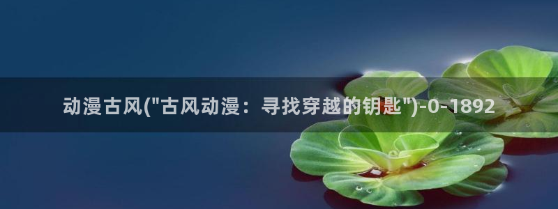 吞噬星空动漫：动漫古风(\