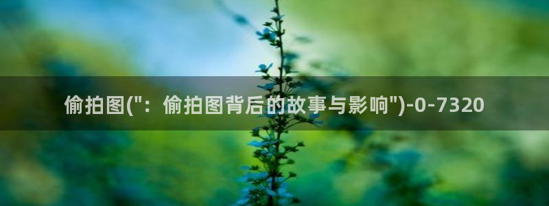 日韩厕所偷拍视频