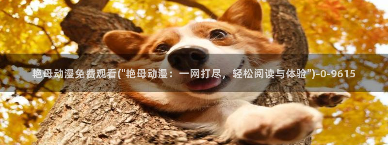 爱动漫