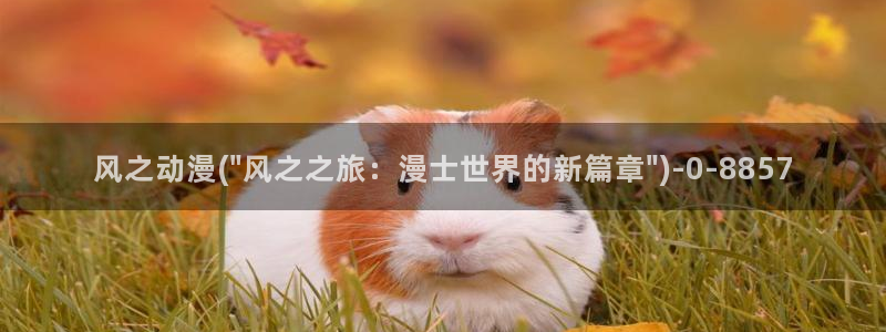 便当动漫
