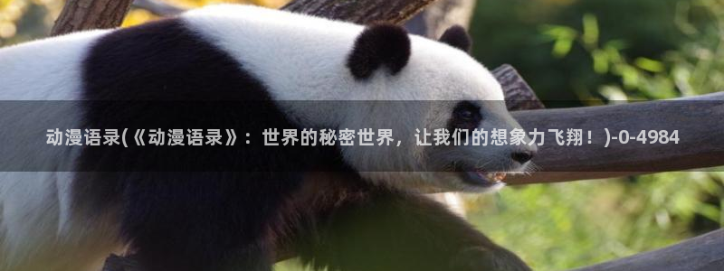 功夫动漫